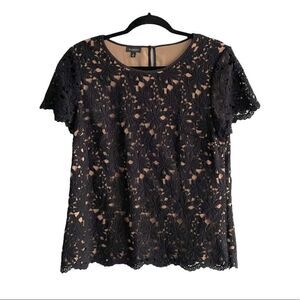 TALBOTS Lace Crew Neck Short Sleeve Blouse Black Camel 10